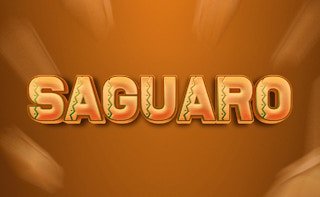 Image Saguaro